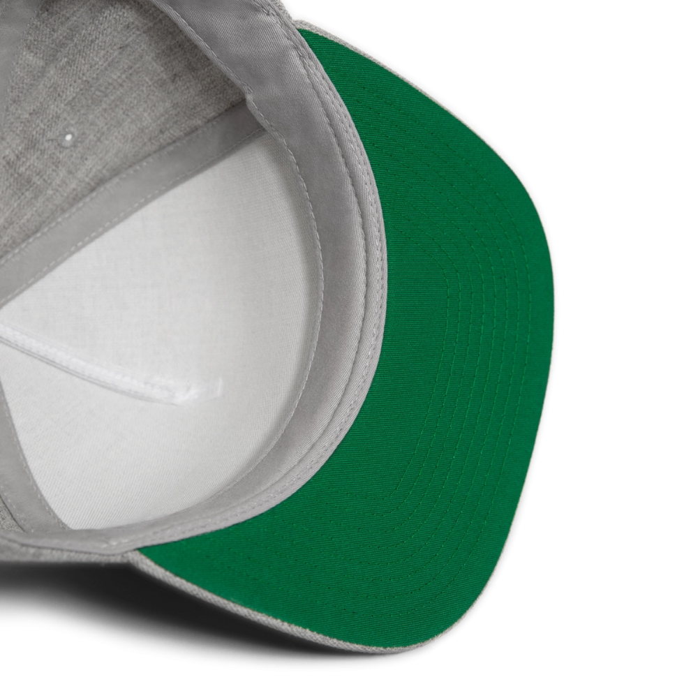 Snapback Baseball Cap DPMO - heather gray