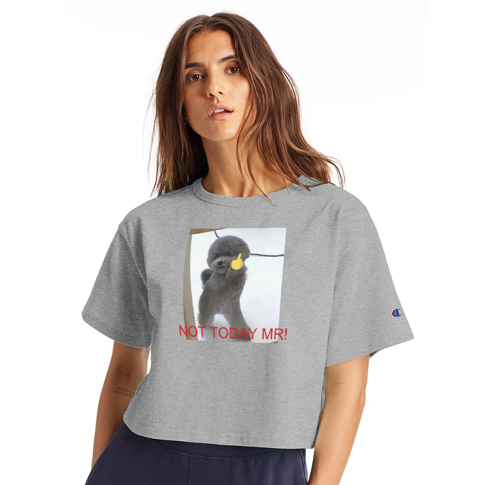 Champion Women’s Cropped T-Shirt NOT TODAY MR! - heather gray