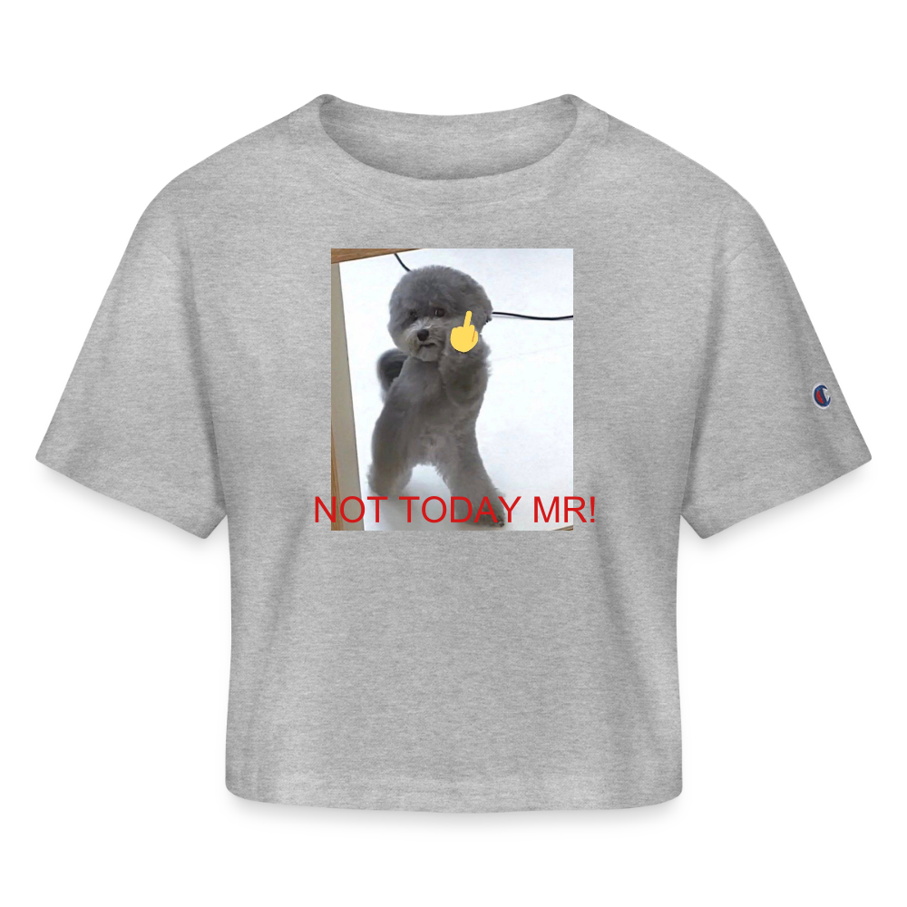 Champion Women’s Cropped T-Shirt NOT TODAY MR! - heather gray